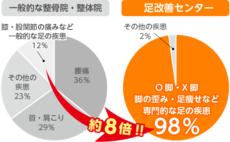 他を寄せ付けない足の疾患数。専門店だから施術数が一般的な治療院の約8倍